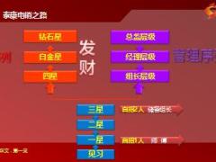 星级之路迈向泰康电销之巅利益分析19页.ppt