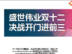 2017年开门红一阶段工作总结二阶段工作规划模板20页.ppt