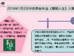 中宏人寿尊颐人生养老年金保障计划产品简介13页.ppt