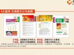 中国人寿新人育成无敌展业套装展示截屏19页.ppt