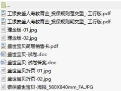 工银安盛人寿盛世宝贝两全保险投保规则折页海报试卷.rar