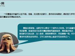 每日保险故事囚禁的章鱼8页.ppt