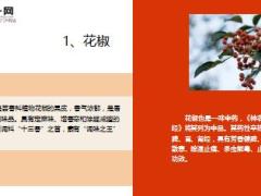 每日健康少吃调料竟然是错9种调料是长寿高手13页.ppt