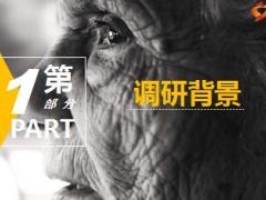 老无所依or老有所依2016养老背景调研有配套视频30页.ppt