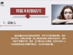 每日健康肾不好只需一分钟一个动作帮你改善9页.ppt