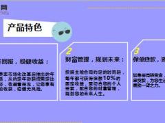 农银金太阳B款养老年金保险产品简介7页.ppt
