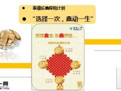 泰康人寿乐鑫保险计划产品简介17页.ppt