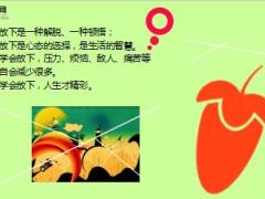 每日鸡汤放下你就赢了.rar