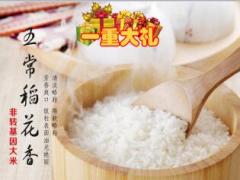 2017猴年年货业务方案宣导35页.ppt