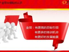精英分享保险从业经历及个人发展规划15页.ppt
