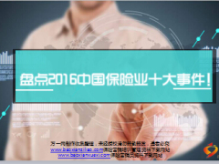 盘点2016中国保险业十大事件精美13页.ppt