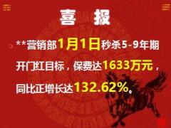 2017赢在客户经营春节方案推动国寿版48页.ppt