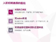 提升专业2017开门红大单销售过程分享27页.ppt