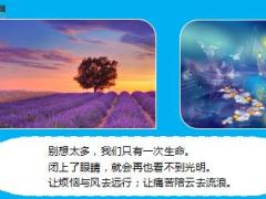 每日鸡汤闭上眼睛再也看不到光明.rar