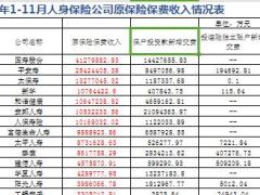 2016年前11月人身保险公司原保险保费收入排名表.xls