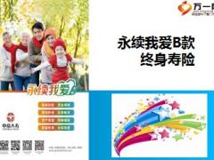 中意人寿永续我爱B款终身寿险销售培训课件46页.ppt