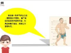 每日健康一根经络能让你面如桃花8页.ppt