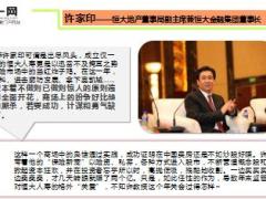 叱咤2016保险市场这些翻云覆雨的大佬都是谁12页.ppt