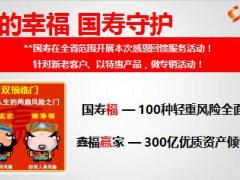 中国人寿双福临门小说会主讲专题33页.ppt