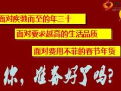 保险公司2017年春节月方案宣导片18页.ppt