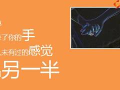 情人节使用自从有了你生命变得有意义14页.ppt