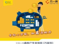 中英人寿鑫账户年金保险培训课件24页.ppt