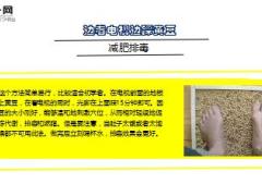 每日健康每天踩一踩45岁变25岁9页.ppt