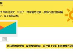 每日正能量弱者的智慧8页.ppt