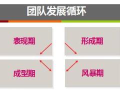 保险公司组织发展新视角团队发展循环分析40页.ppt