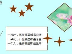 每日鸡汤心安是最美好状态.rar