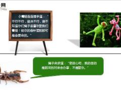 每日保险故事背蝎子过河9页.ppt