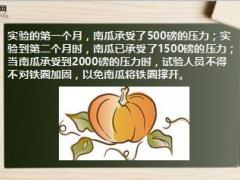 每日正能量早会故事南瓜的压力7页.ppt
