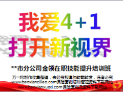 国寿4加1个销团步骤流程含备注29页.ppt