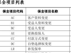 长城金禧利B条款投保保全规则.rar
