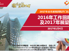 团险渠道2016年工作回顾及2017年展望15页.ppt