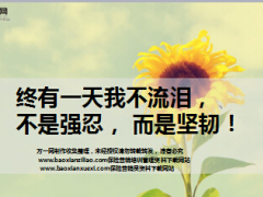 每日鸡汤终有一天我不流泪.rar