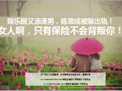 陈思成被爆出轨10页.ppt
