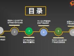 浅析我国中小企业财产保险的现状与发展10页.ppt