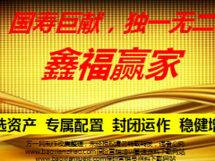 中国人寿鑫福赢家十年期产品介绍26页.ppt