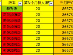 中国人寿新人津贴追踪表B版9页.xls