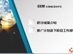 中国人寿金鑫工程项目推广研讨会成果汇报34页.ppt