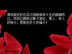 2月14日情人节活动亲情友情爱情客户版113页.ppt
