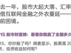 新华美利人生两全保险计划宣传页.rar
