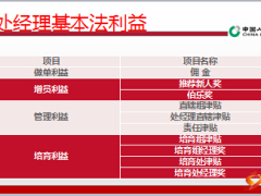 国寿基本法C版处经理基本法利益解析34页.ppt