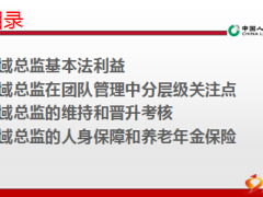 国寿基本法B版区域总监基本法利益解析41页.ppt
