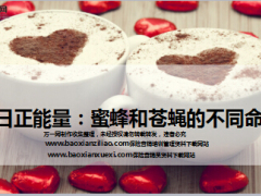 每日正能量蜜蜂和苍蝇的不同命运8页.ppt