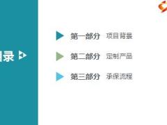 国寿团险小微企业4加1定制产品及投保工具介绍18页.ppt