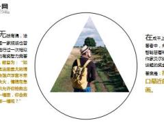 每日保险故事最佳答案8页.ppt