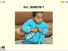 每日快乐早会17年1月24日使用15页.ppt
