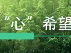 视频暖心理赔为您守候新华保险理赔案例宣传片2心希望.rar